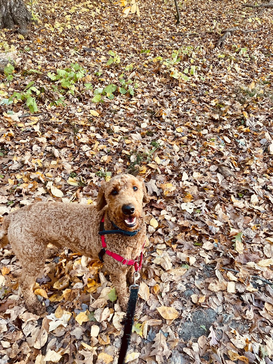 RepAndyVargas's tweet photo. Winnekenni is really something in the fall. 🍁🍂#ThisIsHaverhill https://t.co/SYkIxrqTS5