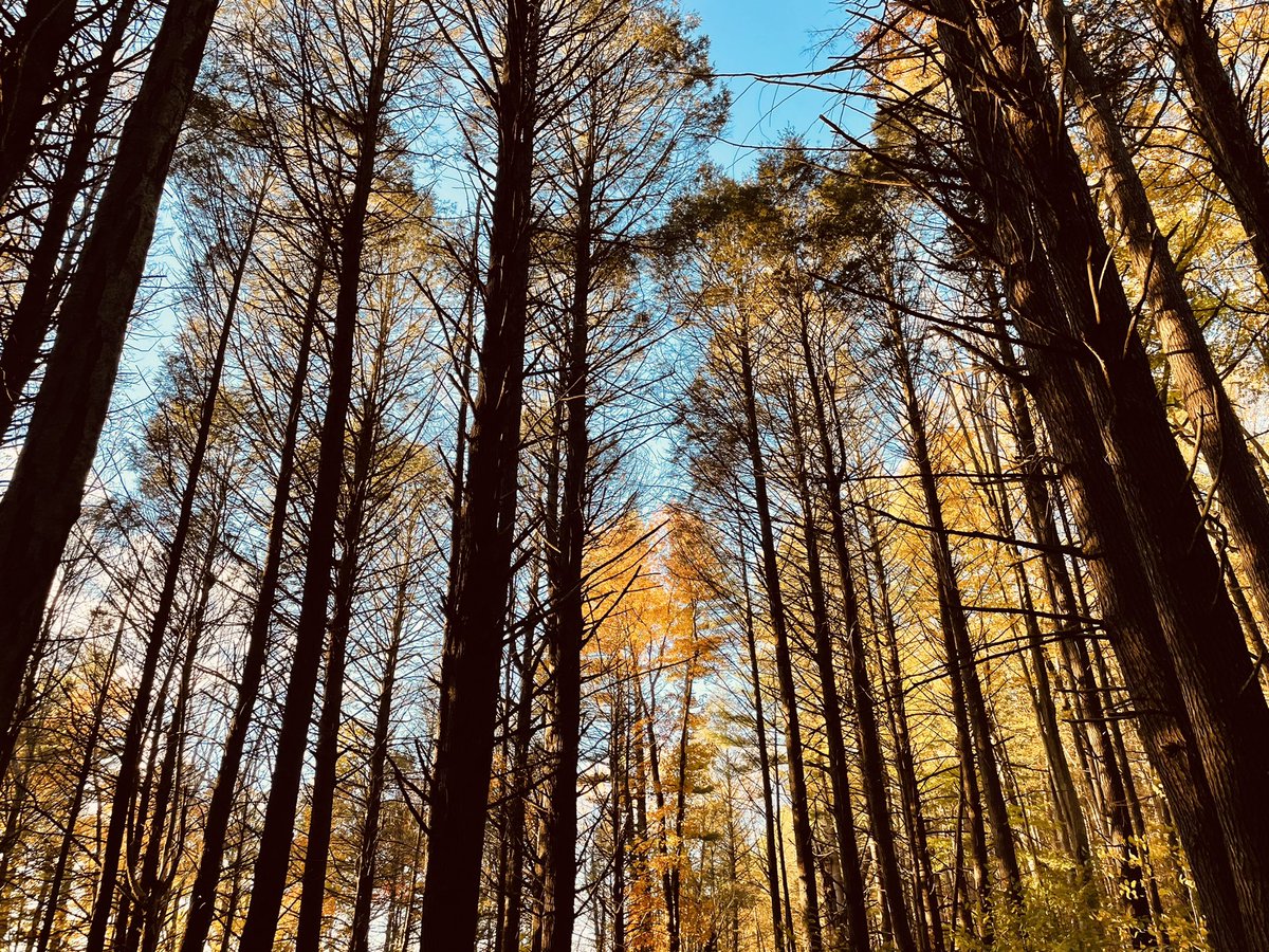 RepAndyVargas's tweet photo. Winnekenni is really something in the fall. 🍁🍂#ThisIsHaverhill https://t.co/SYkIxrqTS5
