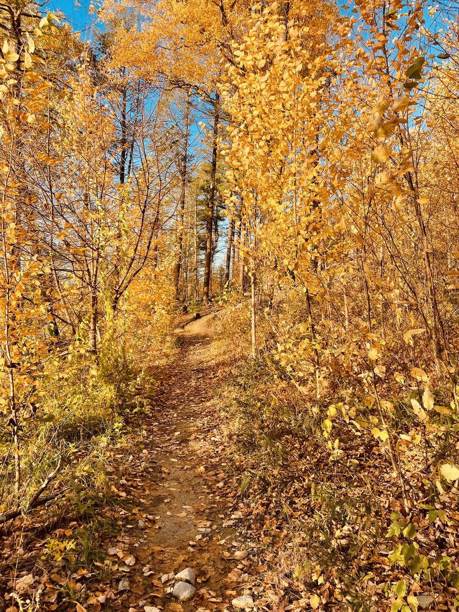 RepAndyVargas's tweet photo. Winnekenni is really something in the fall. 🍁🍂#ThisIsHaverhill https://t.co/SYkIxrqTS5