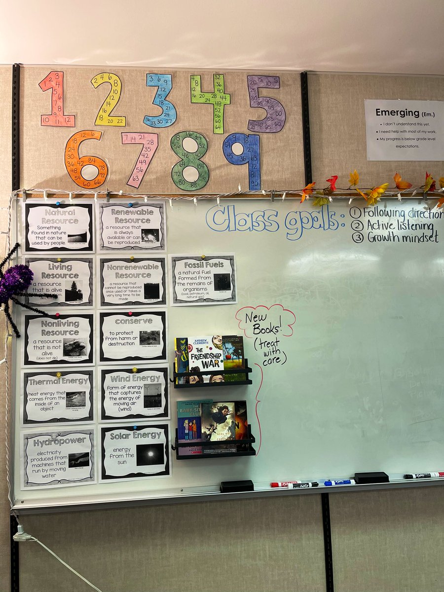 It’s the aesthetics for me😅 #classroom