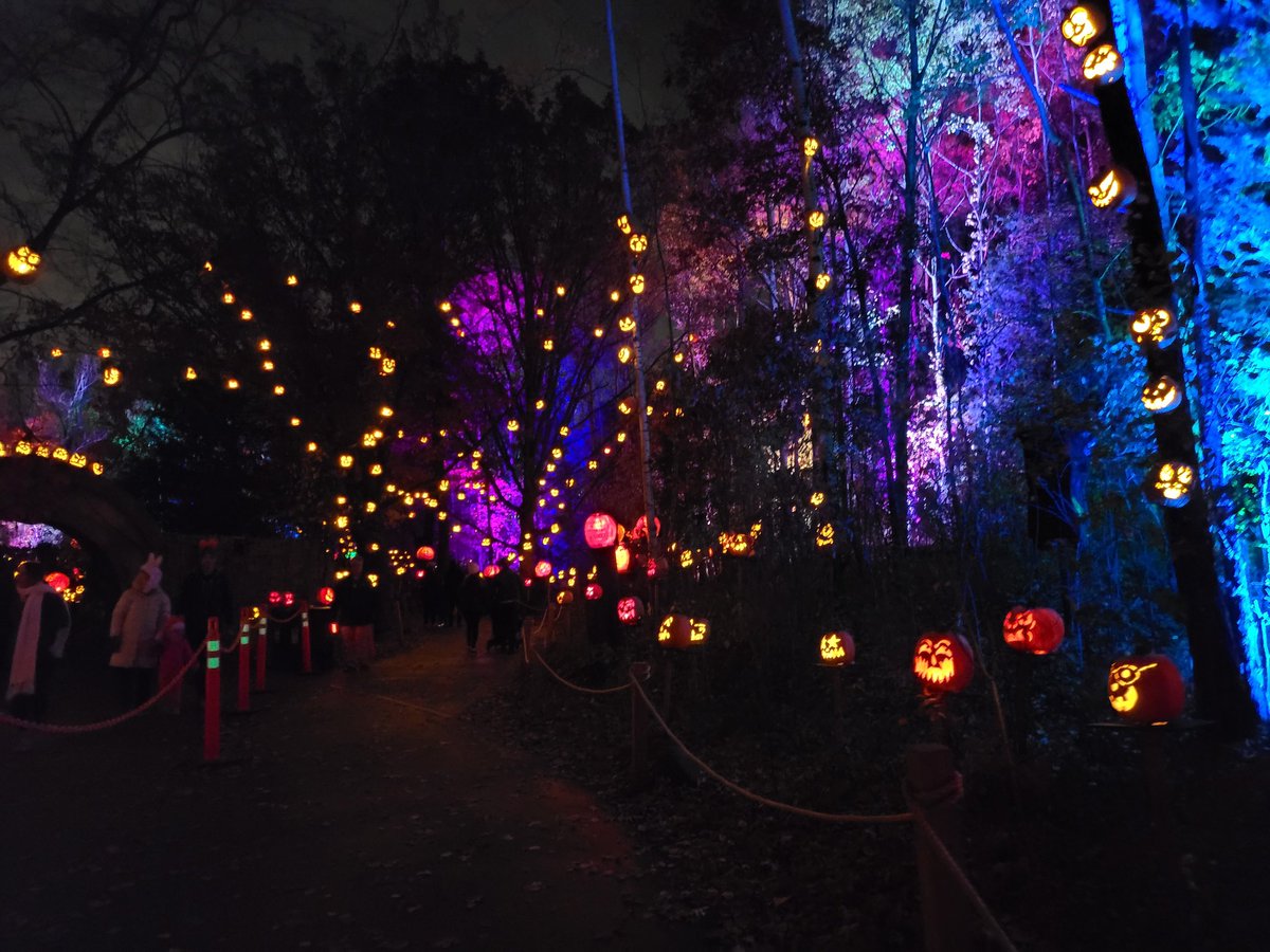 Demixaii's tweet photo. This past weekend was magical ~ ๐ค๐
.
#Halloween2021 #ValleyScare #MinnesotaZoo #JackolanternSpook https://t.co/t0dqoeU5xI