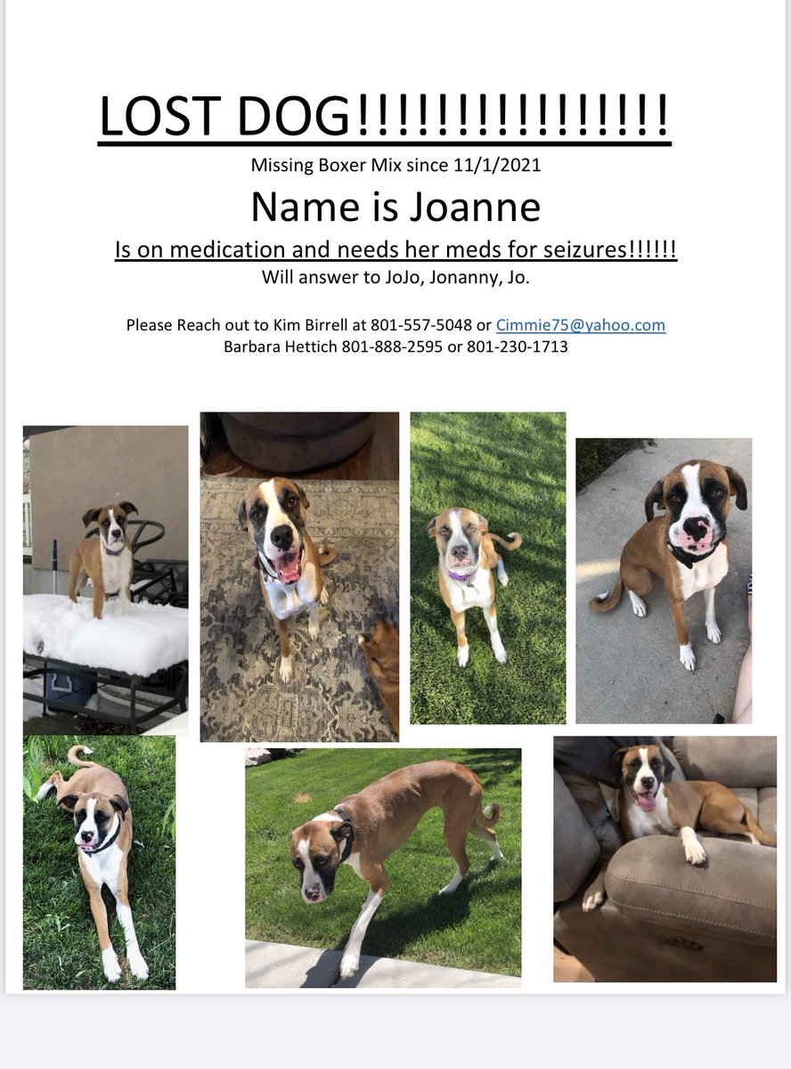 FML_BRY's tweet photo. LOST DOG around 3500 S 7200 W !!!!
Please reach out and let me know if you see her!!!!!!! PLEASE RETWEET!!!!!! HELP ME FIND MY PUPPY!!!!! https://t.co/RGJqCFZA6w