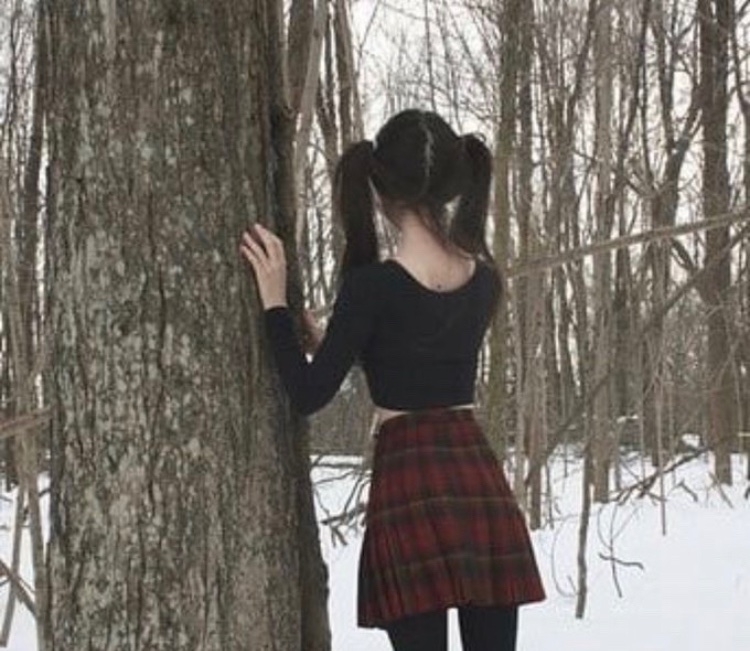 lk4_lz's tweet photo. winter/ Christmas thinspo thread + toxic Christmas edtwt gc!! https://t.co/Vo8l1nhWAc