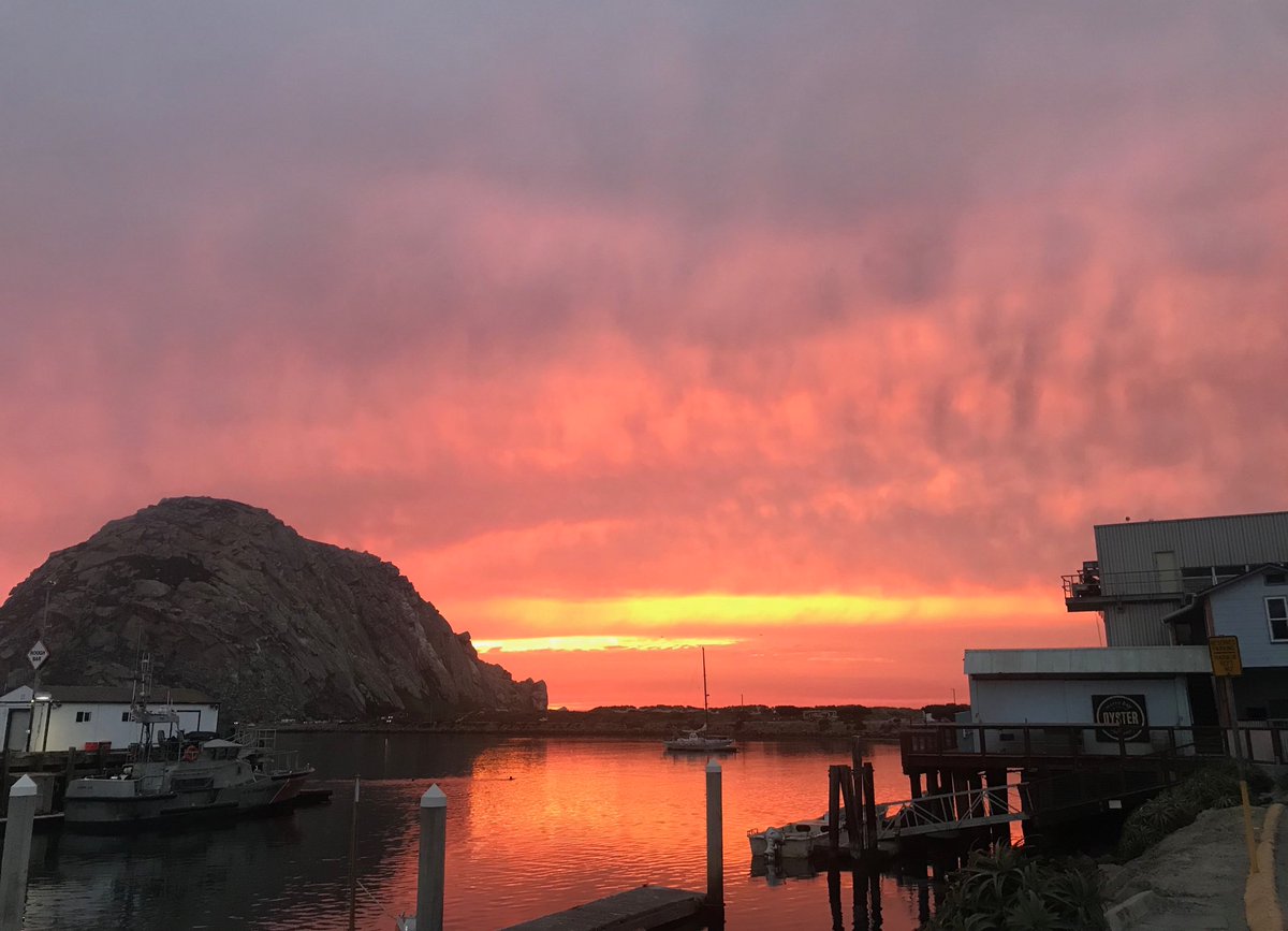 bobthe1dog's tweet photo. November 1 #Sunset #MoroBay https://t.co/ZgsQoW9vEb