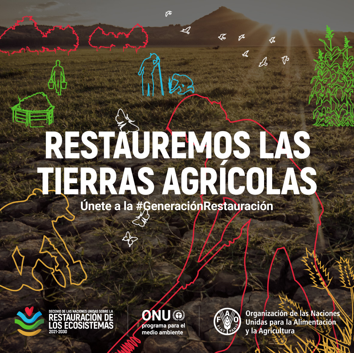 Las tierras de cultivo se pueden restaurar:

🟢 Usando la naturaleza como impulso
🟢 Plantando árboles en los campos
🟢 Sembrando cultivos más diversos
🟢 Adoptando la agricultura regenerativa

Únete a la #GeneraciónRestauración