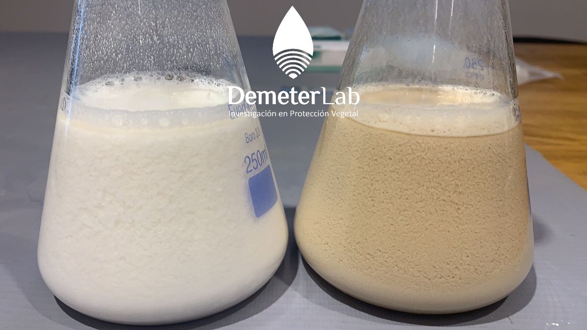 Juan Ignacio Cacciavillani tweet media