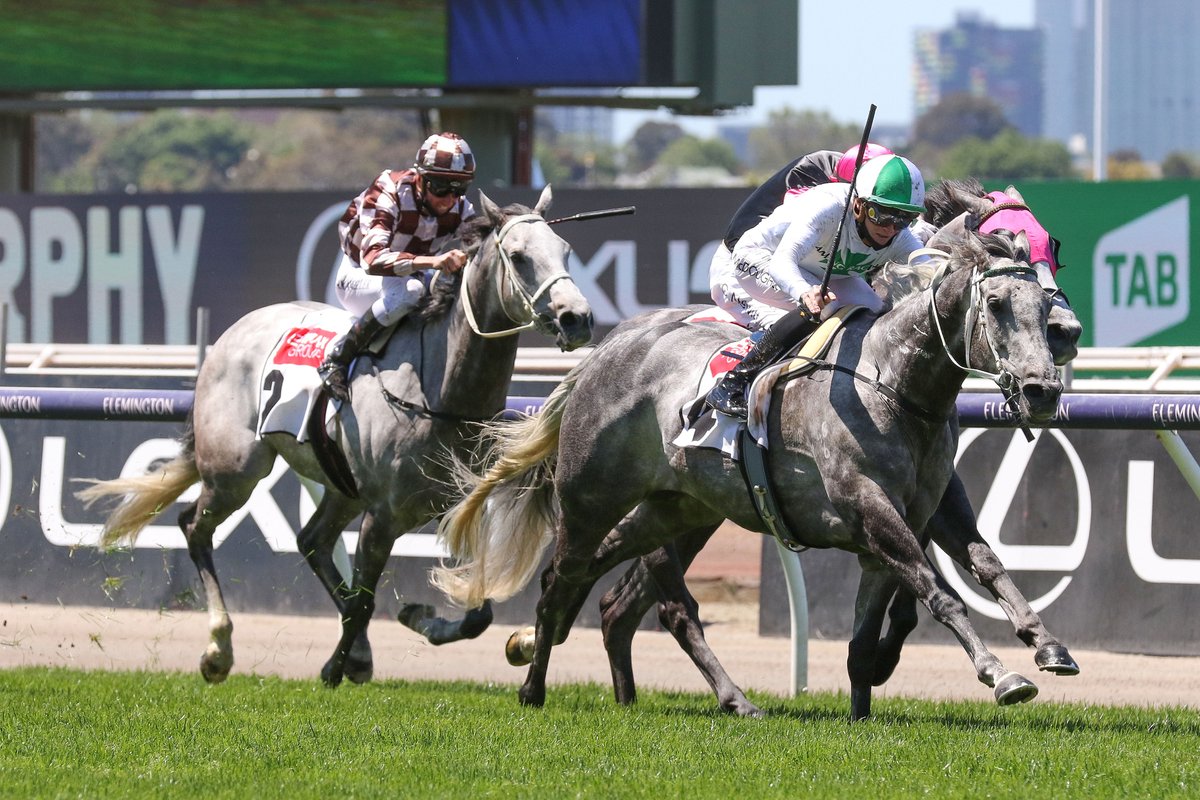 nzracingnews's tweet photo. Trainer Richard Lamming was spot on when targeting #Excelman at the Subzero Handicap with the son of Reliable Man taking out the race for grey horses at Flemington on Melbourne Cup day.
https://t.co/rQNUa9X9ZG https://t.co/8vtsigkbNj