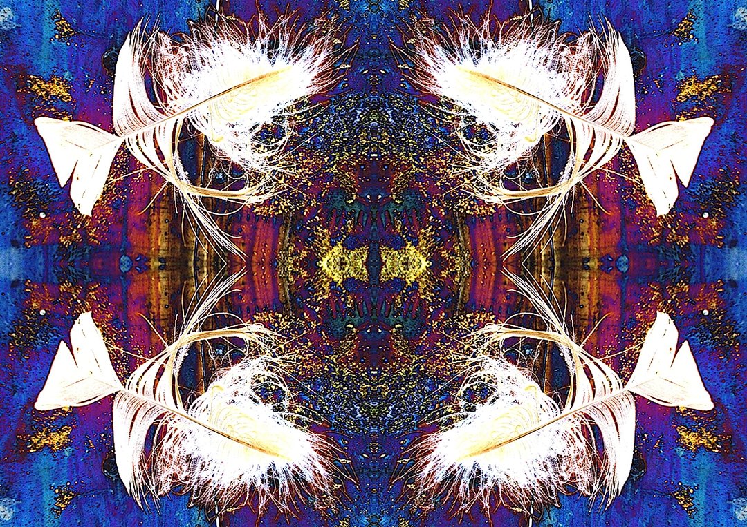SherrieArtist's tweet photo. Feather Fish – available at https://t.co/WLV11TJ2cP 

#sherrieartist #fantasypattern #artsell #artprintsonline https://t.co/JvTxk1qx47
