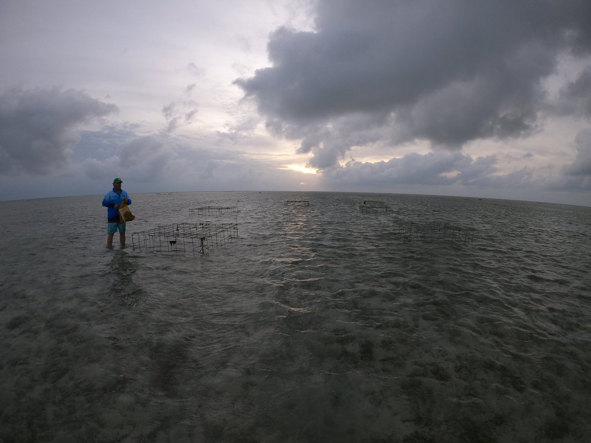 Dr Abbi Scott tweet media