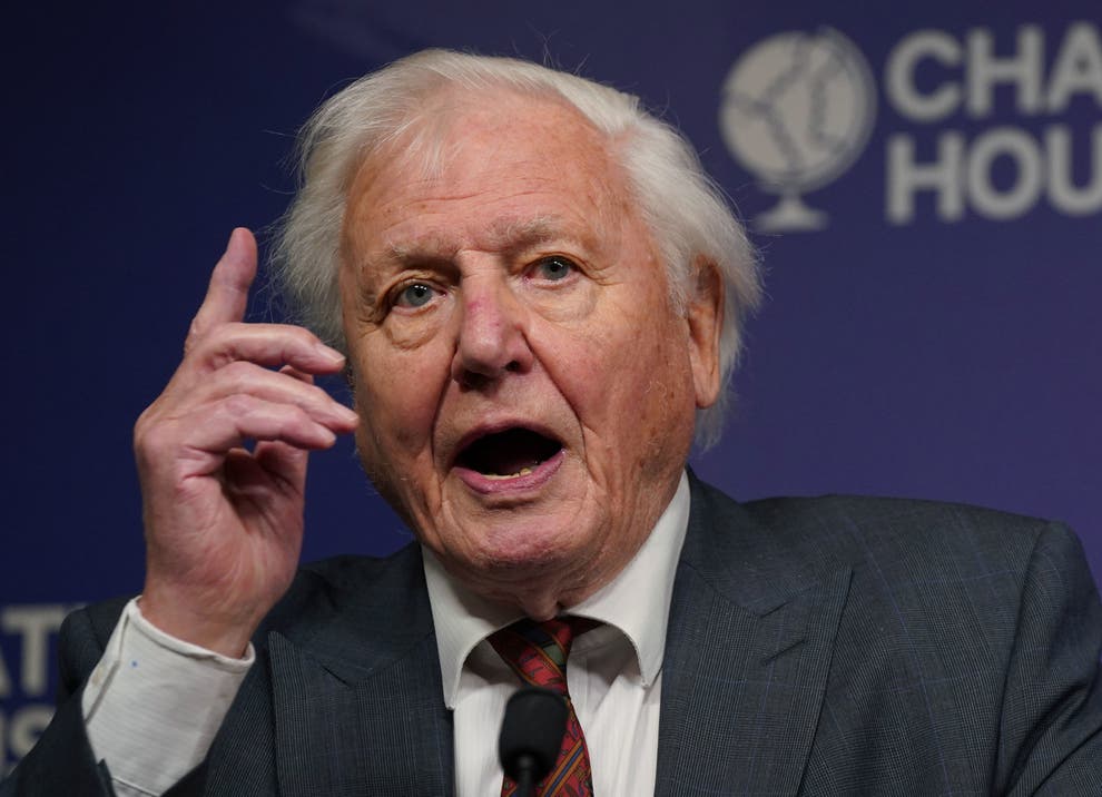 🌍 People must harness nature’s ‘extraordinary’ powers to ‘turn the tide’ on climate change...
🌎 Sir David Attenborough addressing COP26 in a rousing speech warned that humanity is “already in trouble”

 #BiodiversityConservation #NatureBasedSolutions #ClimateChange