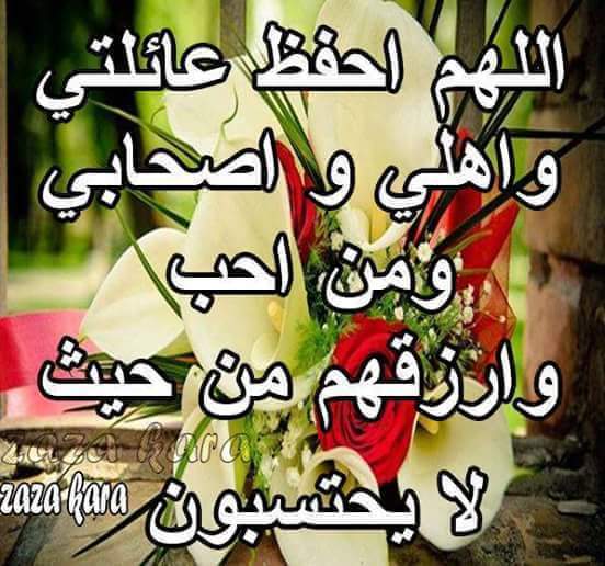 أبو منار محمد عنتر شوشان (@mnh_ntr) on Twitter photo 