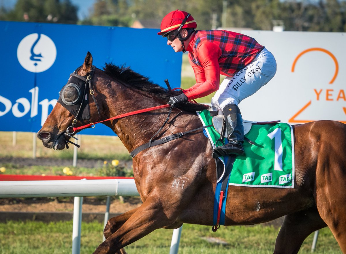 thebrookracing's tweet photo. REMLAP'S JEWEL (Billy Cray for @singletonracing) wins R7 Muswellbrook Coal Bowman Sprint (900m). 2nd was Bengalla Bay (D McLellan), 3rd Emilette (M Weir), 4th Kookabaa (A Bullock). RT 50.28 (last 600m in 32.23). Margins 2.25L x 1.25L. #classrecord https://t.co/FgxNjTBeki