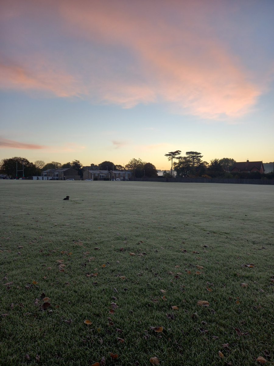 Beautiful first frost this morning! Aren't we lucky?!?