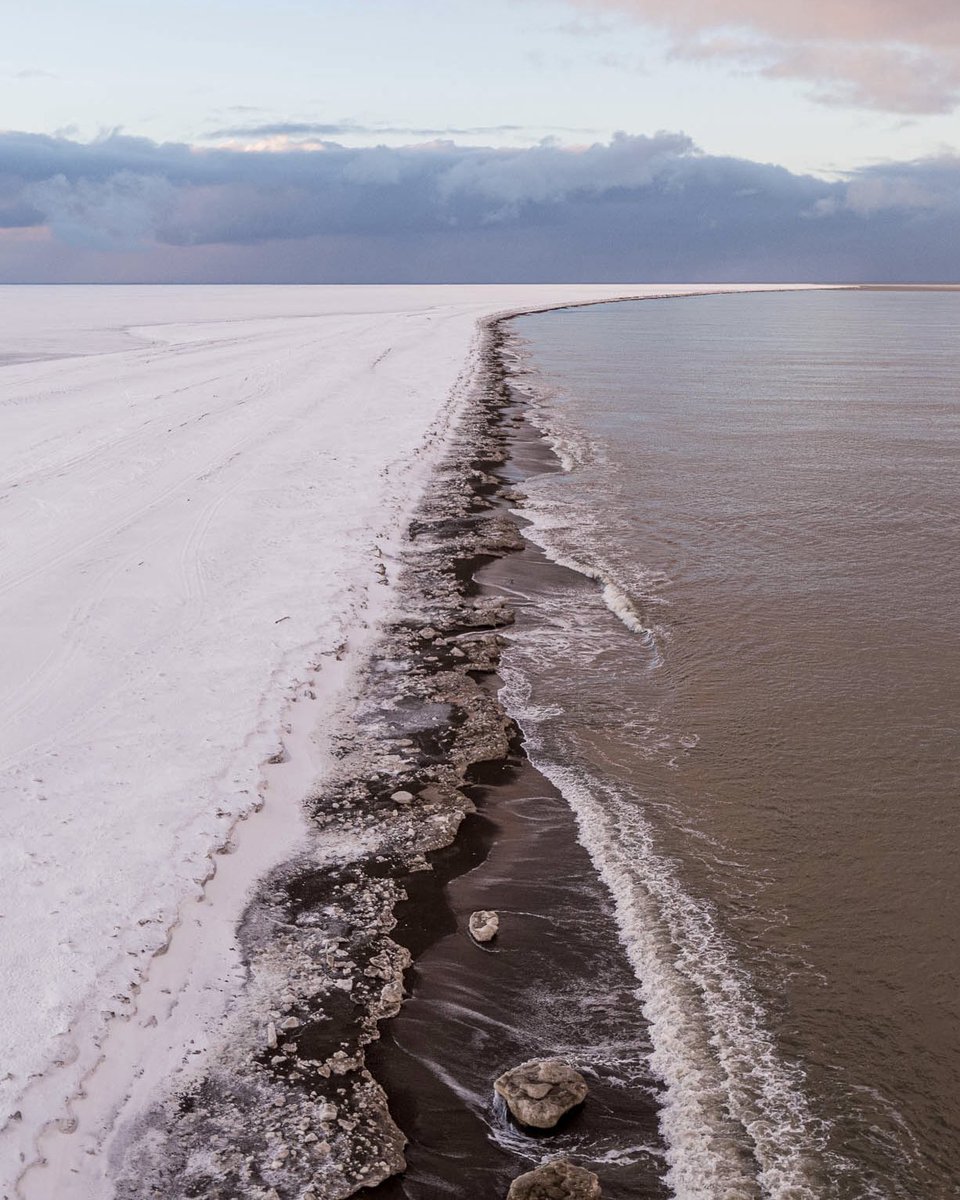 Loren Holmes tweet media