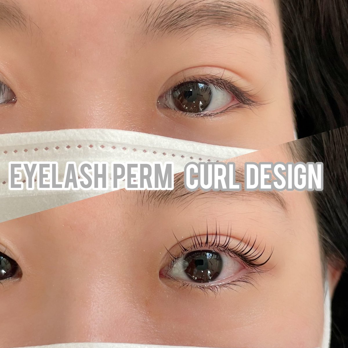 ラッシュリフト の検索結果 新城ポータル