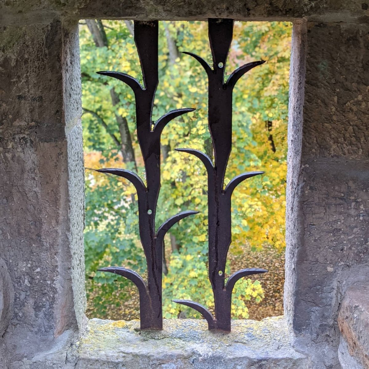 TeamHeSi's tweet image. Ein wenig geocachen und dabei viel Spaß im Laub gehabt 😁🤩🥰

#gogeocaching #geocachingcom #geocachen #geocaching