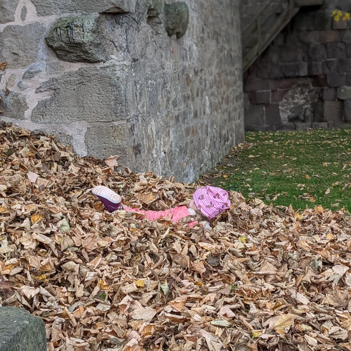 TeamHeSi's tweet image. Ein wenig geocachen und dabei viel Spaß im Laub gehabt 😁🤩🥰

#gogeocaching #geocachingcom #geocachen #geocaching