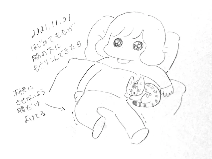 昨夜はももちゃが初めて布団の中に入ってきたのでわきの下記念日とします(字面が汚い) 