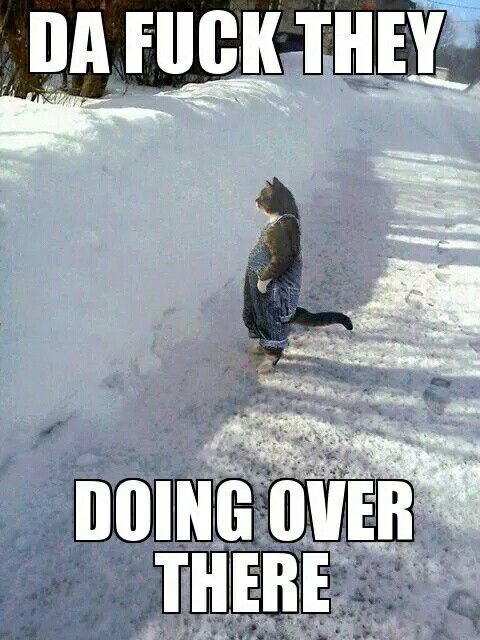 Me trying to see the opponents team period before the game. #DawgMafia