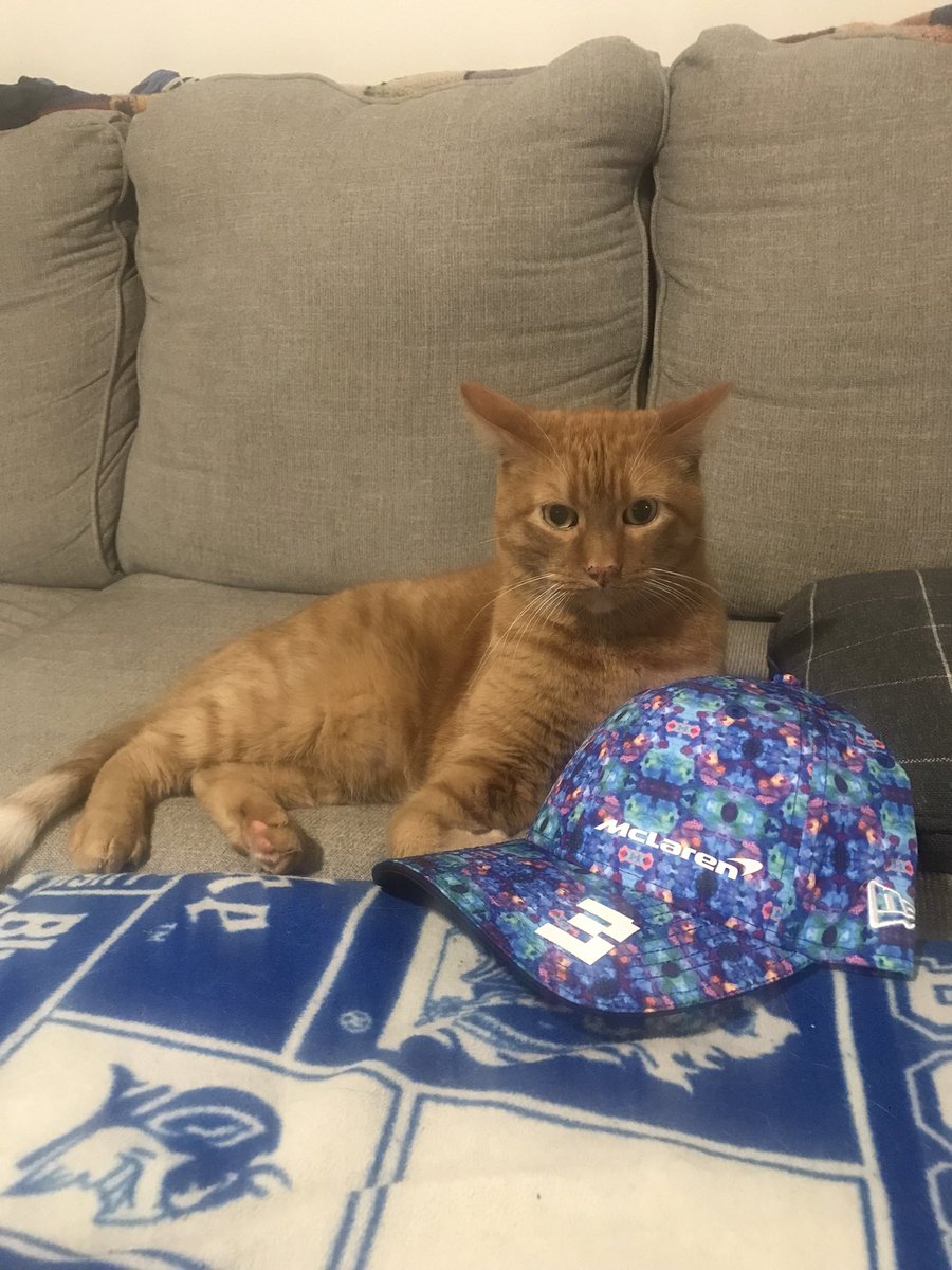 SarahStadnik34's tweet image. Everyone say hello to @McLarenF1 Catto lol jk My sweet, orange boys name is Oswin and he’s 8 years old. The most purrfect cat on the planet 😻  @McLarenDoggo he’d like a doggo friend #mclaren #CatsOfTwitter #oswin #DoctorWho #DR3 #F1