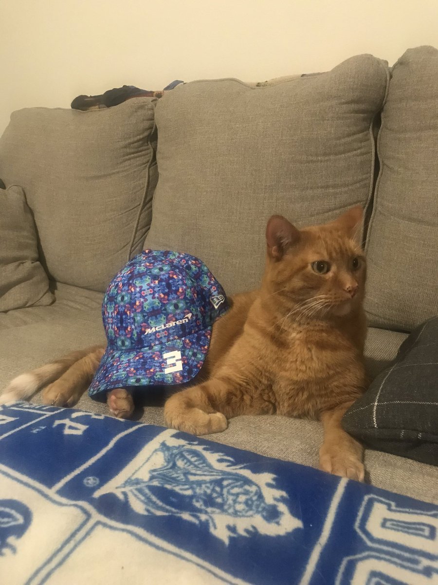 SarahStadnik34's tweet image. Everyone say hello to @McLarenF1 Catto lol jk My sweet, orange boys name is Oswin and he’s 8 years old. The most purrfect cat on the planet 😻  @McLarenDoggo he’d like a doggo friend #mclaren #CatsOfTwitter #oswin #DoctorWho #DR3 #F1