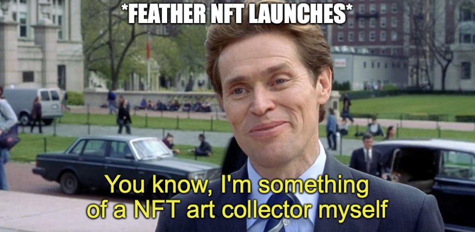 FeatherNFT - Mint NOW on SOL tweet media