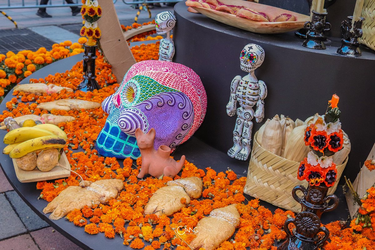 camongue's tweet photo. Ofrenda de Día de Muertos en la explanada del @MUNALmx.

#CDMX #MuseosCDMX #DíaDeMuertos #Ofrenda #Photo https://t.co/qHaw4gnVUm
