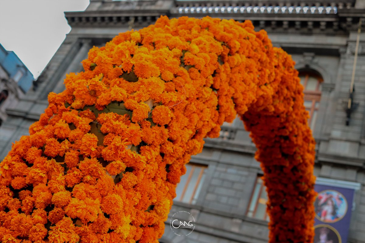 camongue's tweet photo. Ofrenda de Día de Muertos en la explanada del @MUNALmx.

#CDMX #MuseosCDMX #DíaDeMuertos #Ofrenda #Photo https://t.co/qHaw4gnVUm