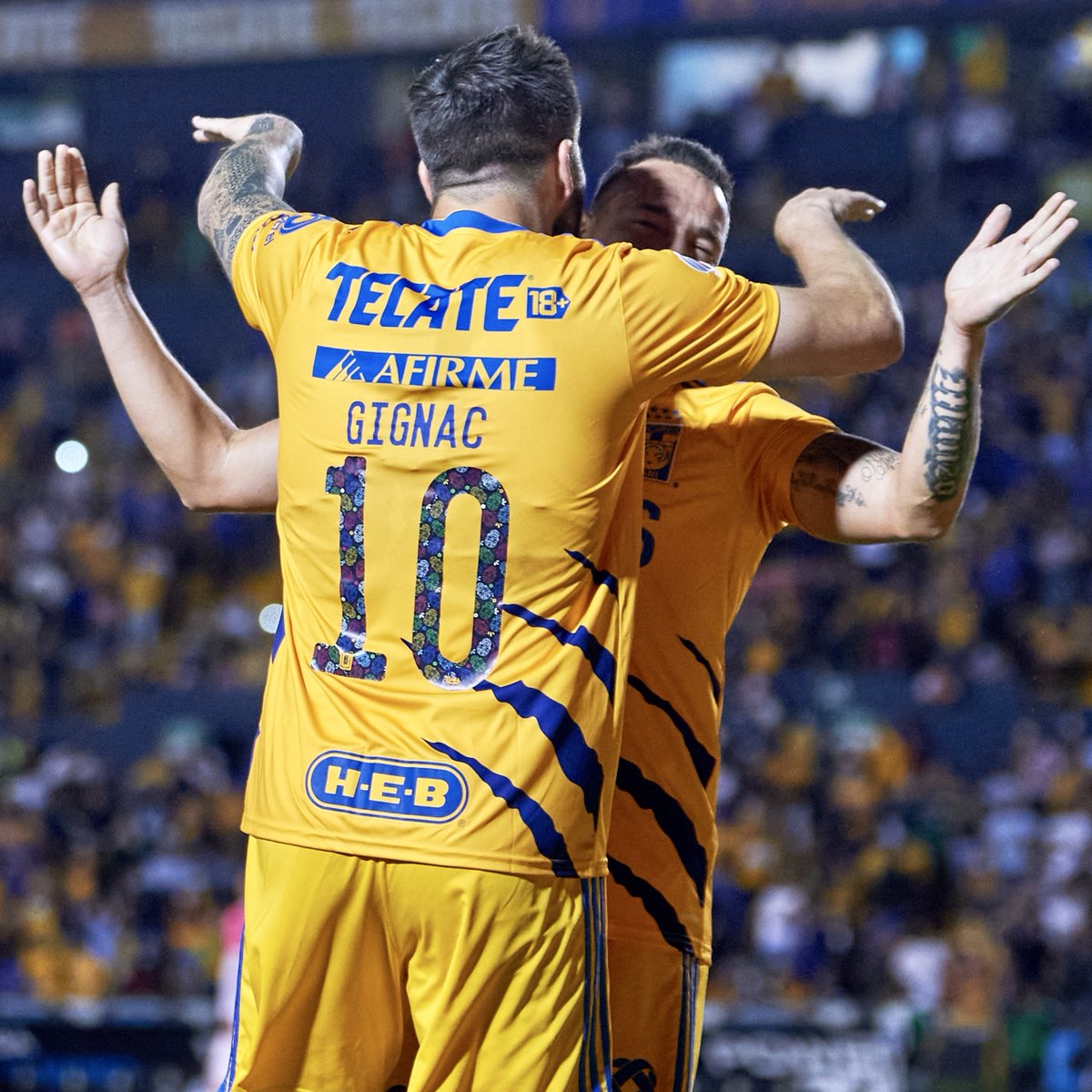 TigresOficial's tweet photo. 🙌🏼 ¡𝗝𝗼𝗿𝗻𝗮𝗱𝗮 𝗱𝗲 𝟲 𝗽𝘂𝗻𝘁𝗼𝘀 𝗲𝗻 𝗰𝗮𝘀𝗮! 🙌🏼 https://t.co/KNABf9HP9V