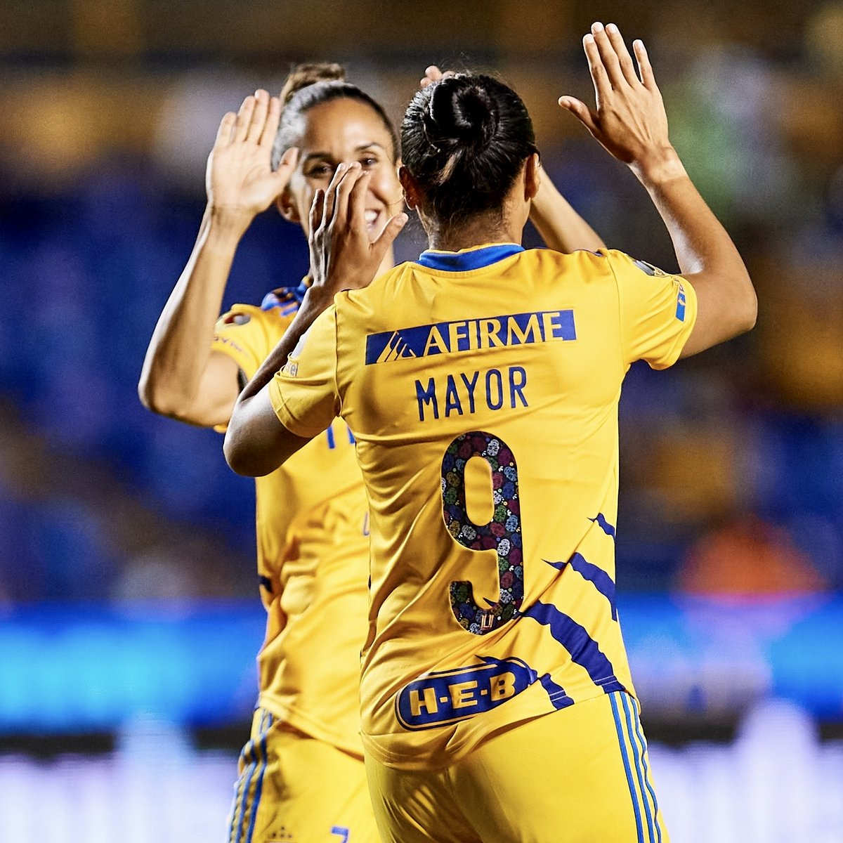 TigresOficial's tweet photo. 🙌🏼 ¡𝗝𝗼𝗿𝗻𝗮𝗱𝗮 𝗱𝗲 𝟲 𝗽𝘂𝗻𝘁𝗼𝘀 𝗲𝗻 𝗰𝗮𝘀𝗮! 🙌🏼 https://t.co/KNABf9HP9V