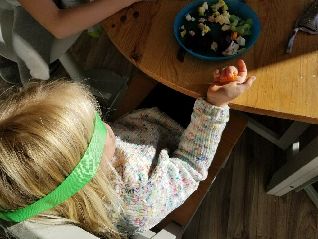 budding_flowers's tweet photo. We did blind taste testing before lunch today.  The bigs were home from school and wanted to try something different. They got blindfolds and I cut up different kinds of meat, vegetables and fruit's so it was bite sized. Then the biggest big made a chart and asked the little… https://t.co/e0Ax5dNXCF