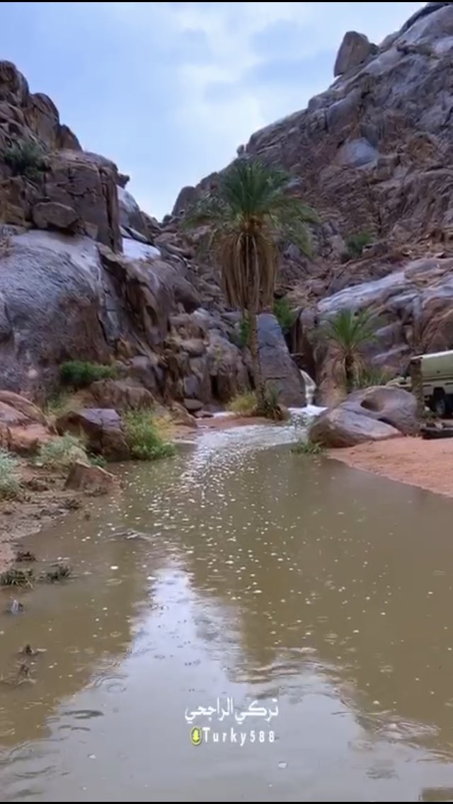 يالله بمزن فوق سلمى وجبل طى….تسيل بها الشعبان وتملاء به فياض.!(صباحكم سعاده)