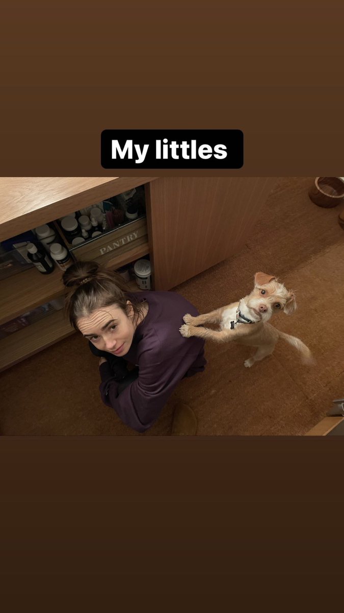 lilycollins_br's tweet photo. Fofura! — "Meus pequenos".

📸 Lily Collins ao lado de seu cachorro Redford, via Charlie McDowell Instagram Stories. https://t.co/vaKMUh02oT