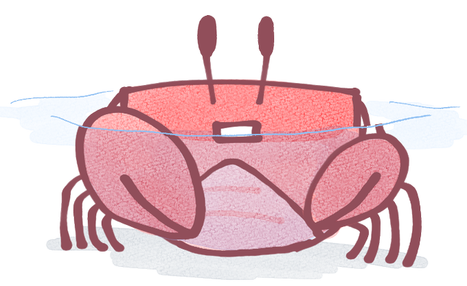 サワガニのtwitterイラスト検索結果