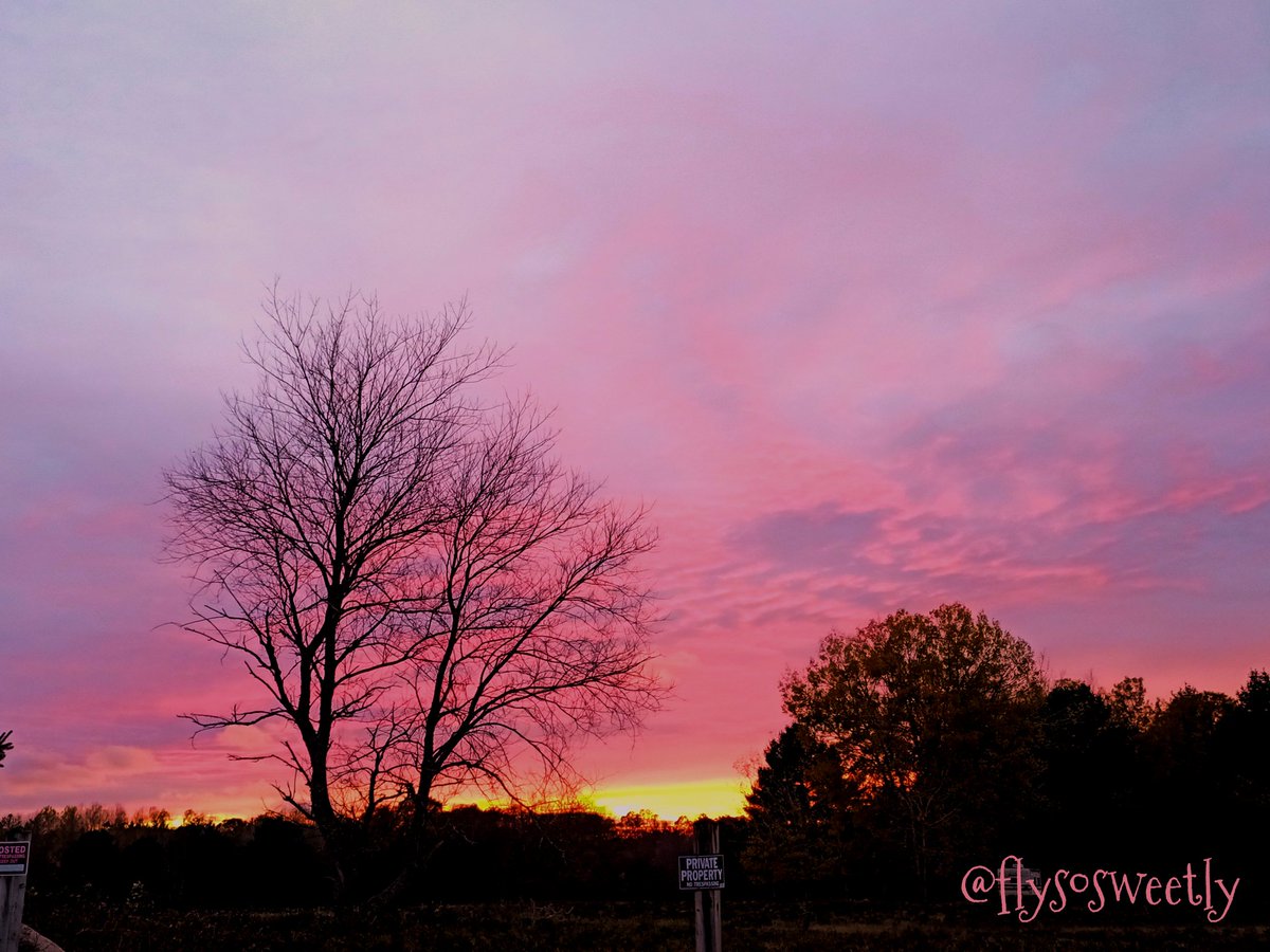 Flysosweetly's tweet photo. Sunset last Saturday.
I think? Anyway it was Gorgeous!!
#sunset #michigan
#puremichigan #michiganphotographer
#photographyislife #northernmichigan #michiganmade
#michigander #michiganawesome
#naturalmichigan
#sky
#sunsetphotography https://t.co/4UksgZNOnE