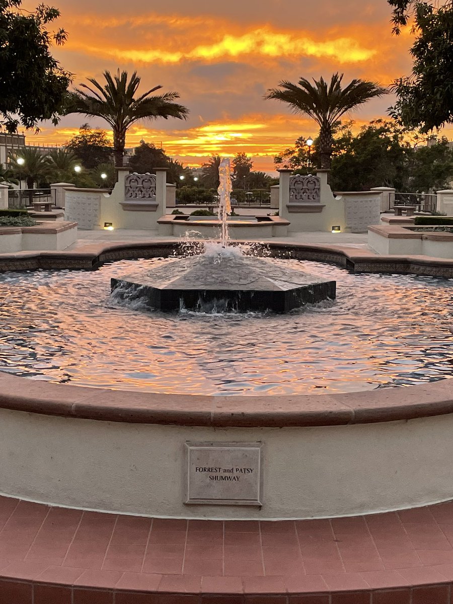 CBassSanDiego's tweet photo. Gorgeous evening on the @uofsandiego campus. Loved seeing lots of students stopping to take #sunset pics! @GoUSDAlumni https://t.co/L07PuEUXjA