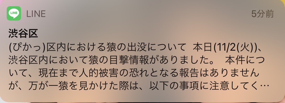 Harada_TEKKEN's tweet photo. し、渋谷区に猿 !?!? https://t.co/JPk6kqiSDQ