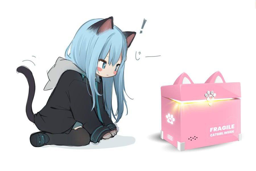 MFachzri's tweet photo. @elonmusk @catgirlcoin Hello https://t.co/B53fV45jfn