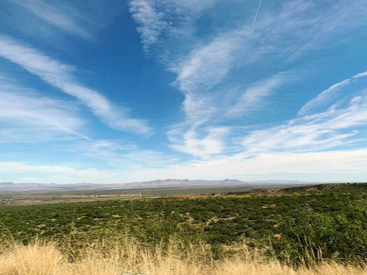 totallytucson's tweet photo. Happy Monday, #Tucson! On the road again. Day trip to Safford AZ. Took a crazy day off and drove to this cool little town. I had never been there before and wanted to clear my head in #wideopenspaces. Drove up #MountGraham too, highest peak in AZ. https://t.co/g3wQ023lOy