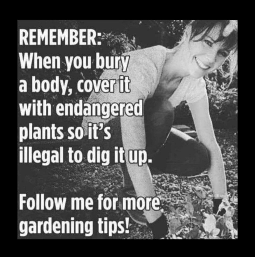 666ellediablo's tweet photo. On days when you're day dreaming about murdering someone... File this away just in case... 🤣😂🤣 https://t.co/ToQSrBHjKM
