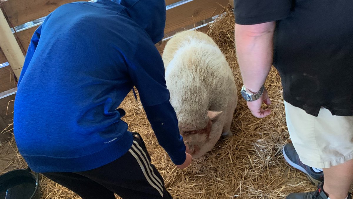 CTE_HuntHS's tweet photo. Mr. Emerson's Animal Science II students introduced Mr. Ingram's Career Management class to the animals. The students enjoyed feeding them. #CareerDevelopmentMonth @Hunt_High_NC @CTEforNC @CareersInNC @WEPwilsonedpart https://t.co/f5SmusVzpM