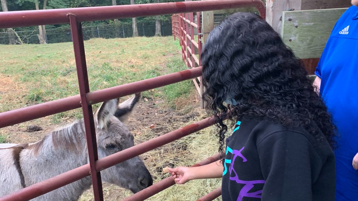 CTE_HuntHS's tweet photo. Mr. Emerson's Animal Science II students introduced Mr. Ingram's Career Management class to the animals. The students enjoyed feeding them. #CareerDevelopmentMonth @Hunt_High_NC @CTEforNC @CareersInNC @WEPwilsonedpart https://t.co/f5SmusVzpM