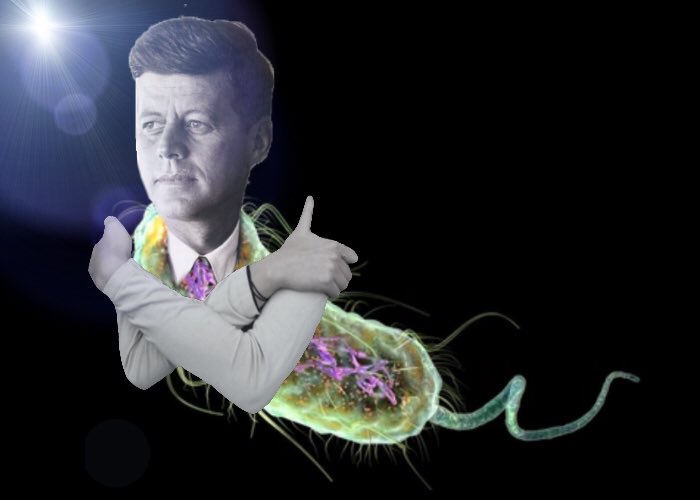 VoteMotilityMan's tweet photo. Flagella and Cilia: only one of these are found in prokaryotes AND eukaryotes. You guess which one. #OrganelleVote2021 https://t.co/JUhDJTERc7