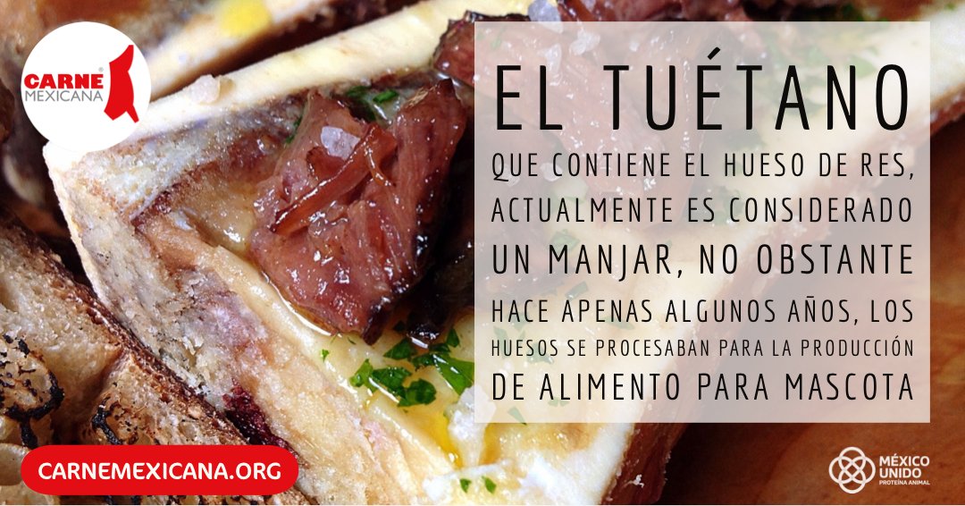 carnemexicana's tweet photo. El tuétano que contiene el hueso de res, actualmente es considerado un manjar, no obstante hace apenas algunos años, los huesos se procesaban para la producción de alimento para mascota. #datoscuriosos #tuetano #datosdecarne #chefgourmet #gourmet #cocinamexicana https://t.co/syOqTm0Jnw