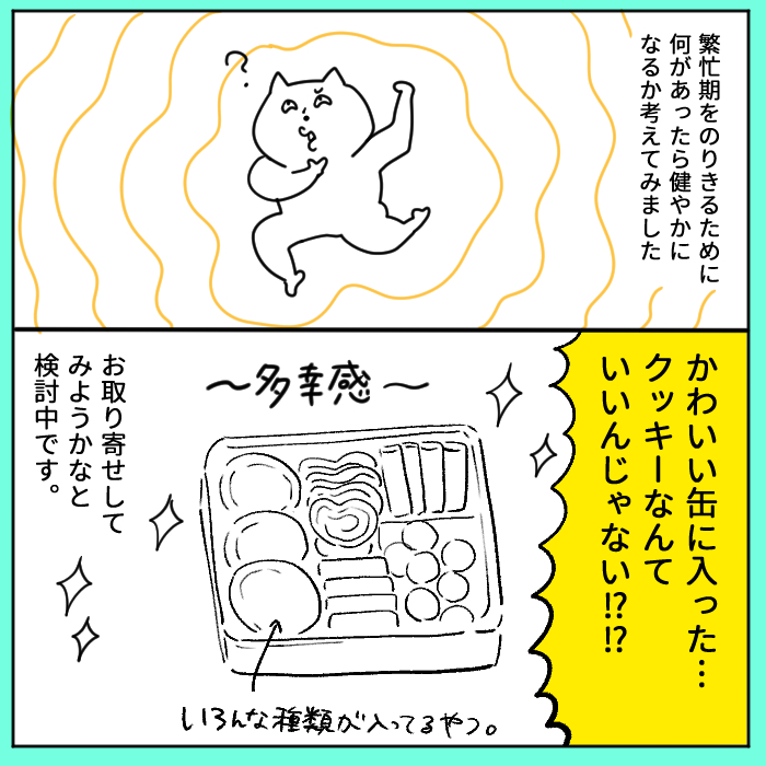 缶に入ったクッキーって〝夢〟が詰まってる気がします 
