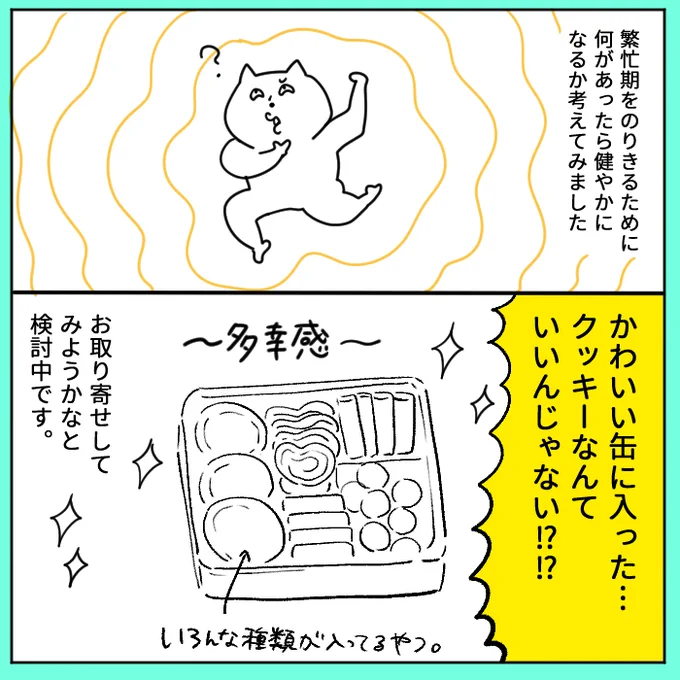 缶に入ったクッキーって〝夢〟が詰まってる気がします 