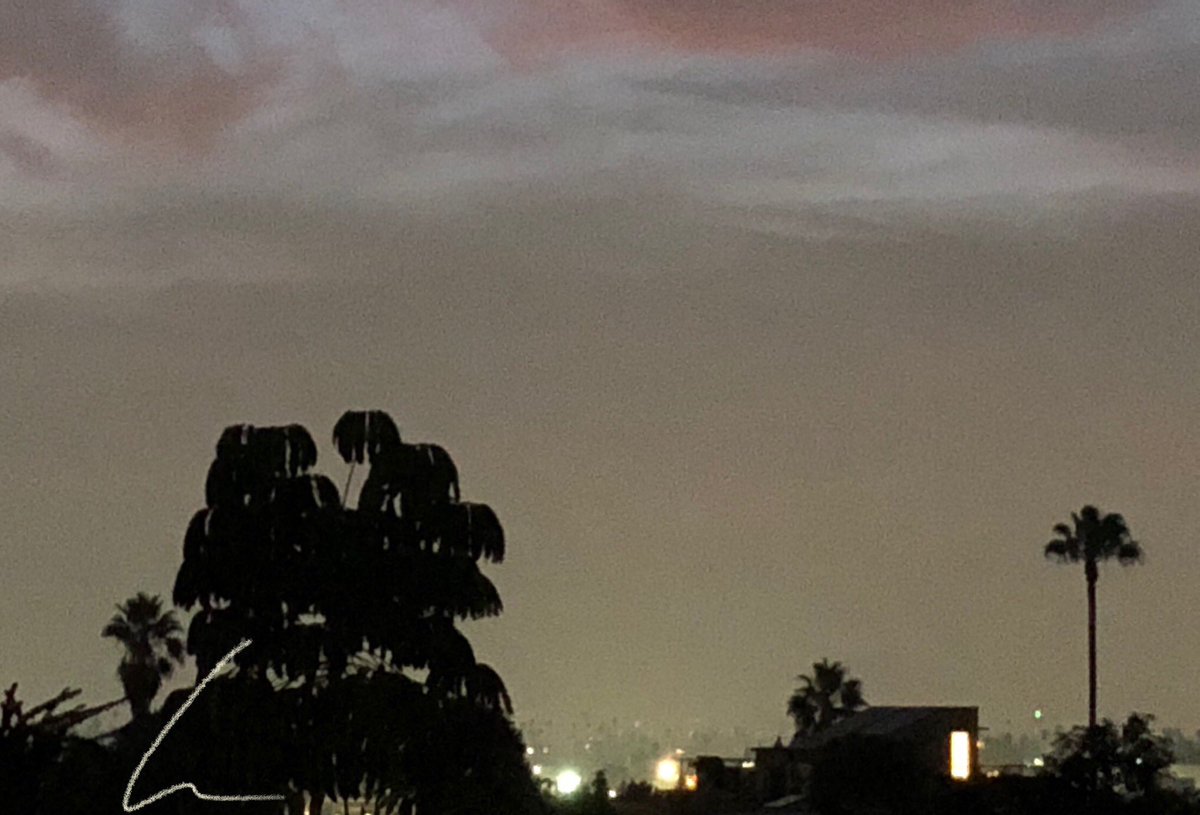 HMNauthor's tweet image. 