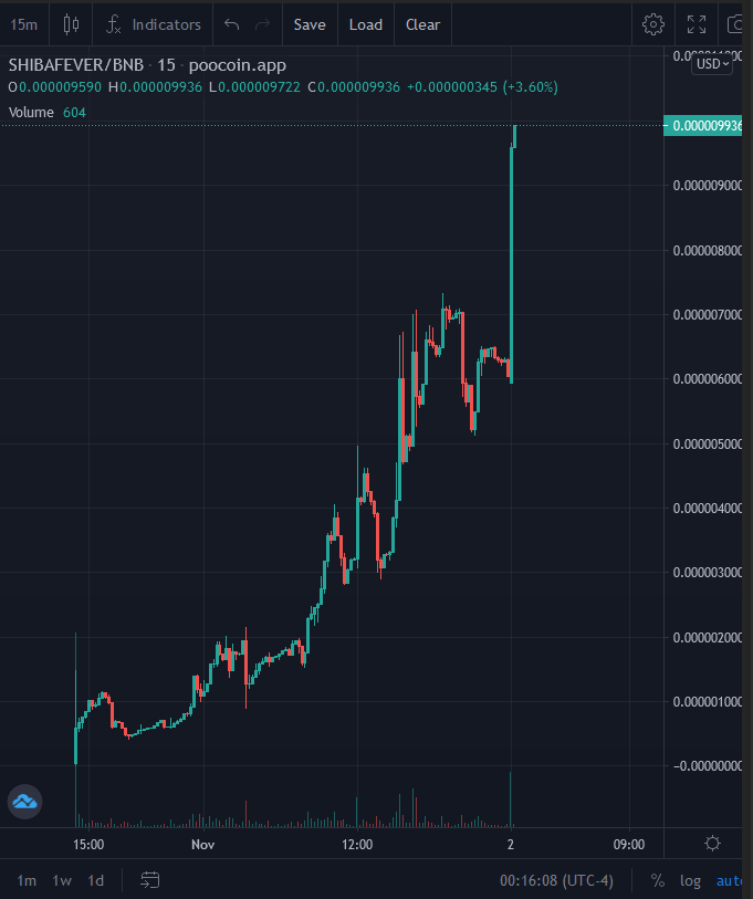 ShibaFever tweet media