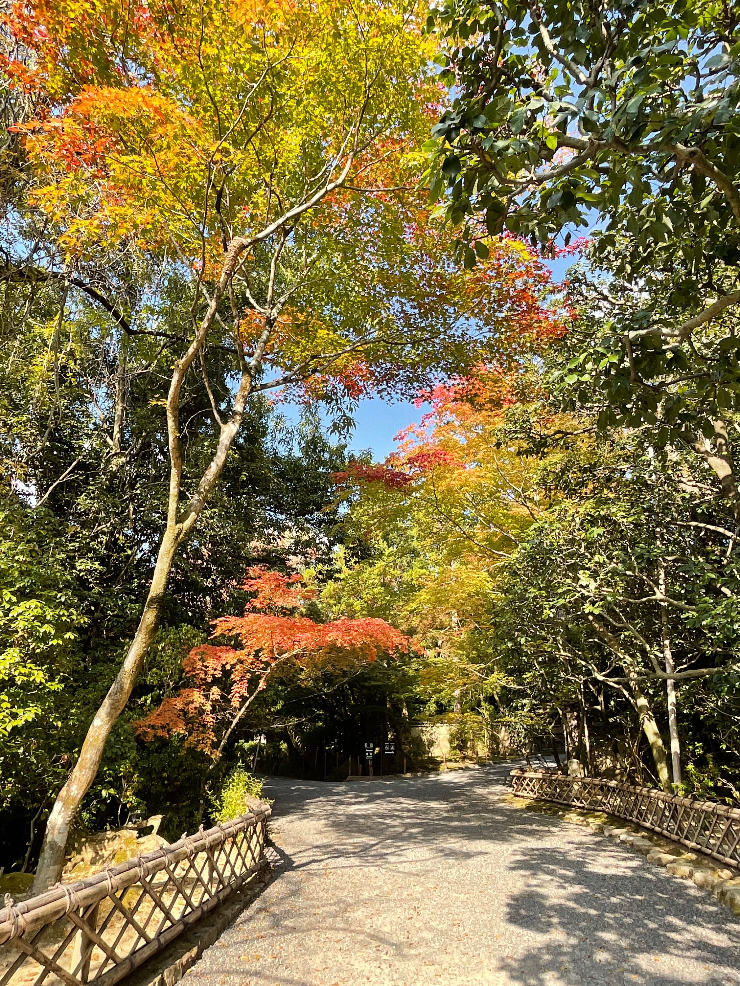 The Garden Of Ryoanji Temple Ryoanji English Twitter