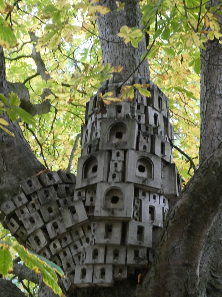 Martin Gathercole🐦X🐦 tweet media